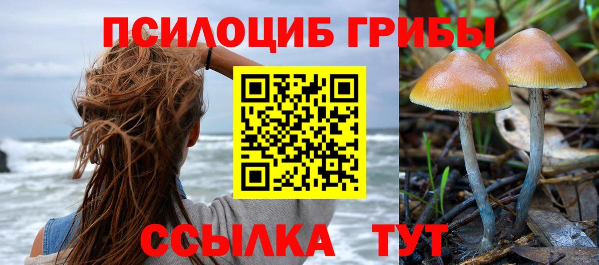 Ртищево  цена   Вход с VPN  Псилоцибиновые грибы мицелий 
